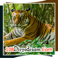 kerala divya desam tour operators